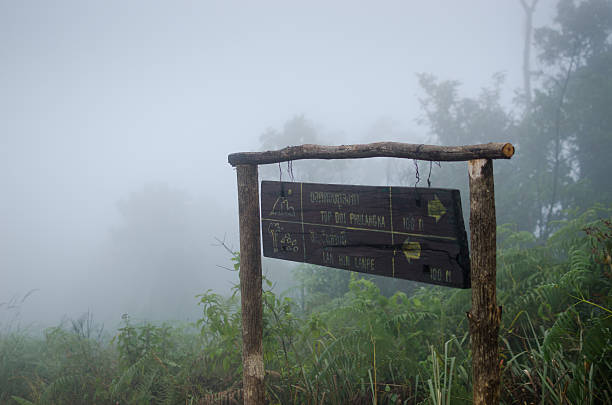 Phu langka National Park, Phayao Thailand
