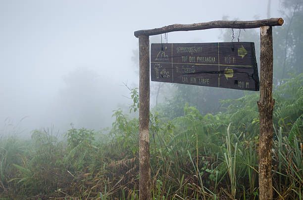 istock Phu langka National Park, Phayao Thailand 502511216