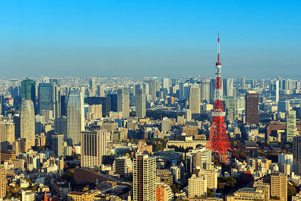 istock Tokyo city skyline 502513212