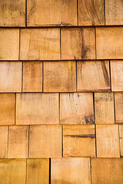 istock Wood texture, wooden background 502517642