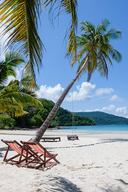 istock the atmosphere of beautiful beach 502517810