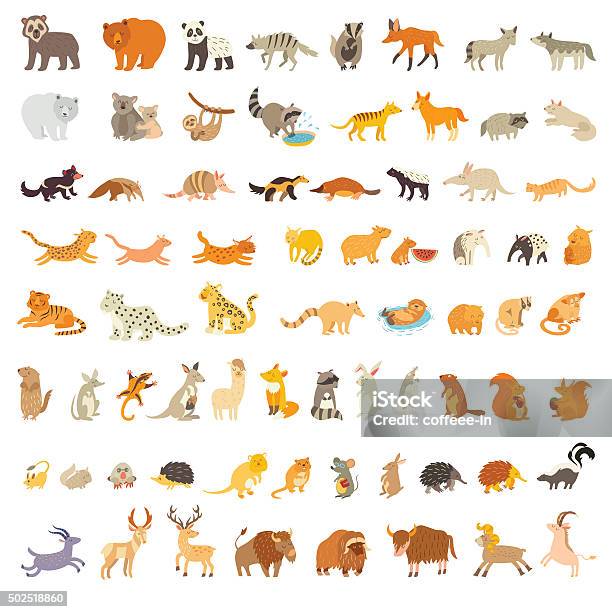Mammals Of The World Extra Big Animals Set Stock Illustration - Download Image Now - Animal, Zoo, Kangaroo