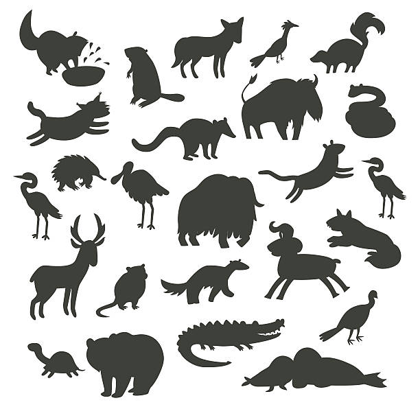 istock North America animals silhouettes, isolated on white background 502518898