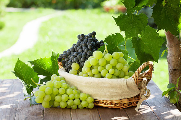 istock Red and white grapes in basket 502518934