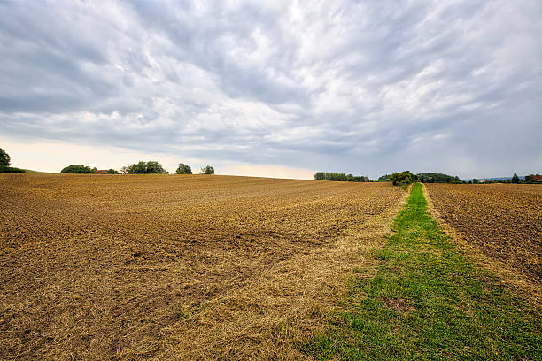 istock H'DR landscape with fields and cloudscape in summer 502522776