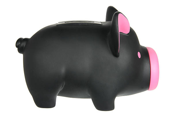 istock Piggy Bank 502523980