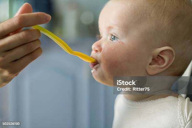 Feeding Baby Girl From Yellow Spoon Stock Photo - Download Image Now - Baby - Human Age, Overweight, Teardrop