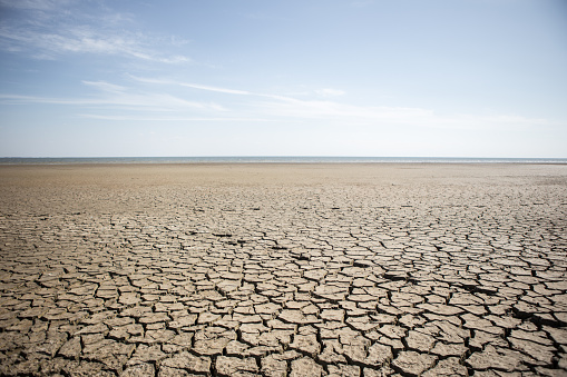 Terrain with cracks under the effects of drought