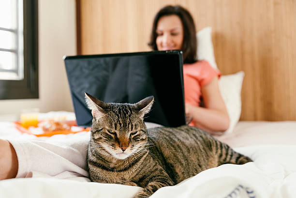 istock Woman working with her laptop computer and having breakfast. 502530378