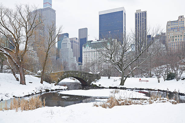 istock Gapstow Bridge in Winter - Central Park 502531102