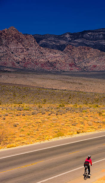 istock Lone cyclist on the Redrock Canyon Loop 502544302