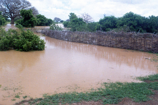 Seasonal flooding of village gardens along the Nimbaru River northern Yatenga Burkina Faso