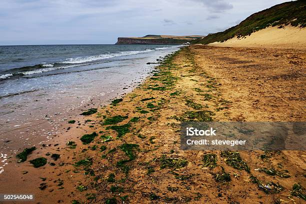 Deserted Sandy Beach At Saltburn By The Sea Stock Photo - Download Image Now - Saltburn, 2015, Beach