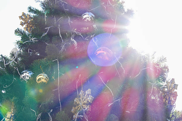 istock sunlight and flare on christmas tree 502556100