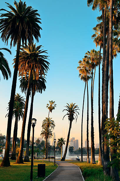 istock Los Angeles downtown 502557923