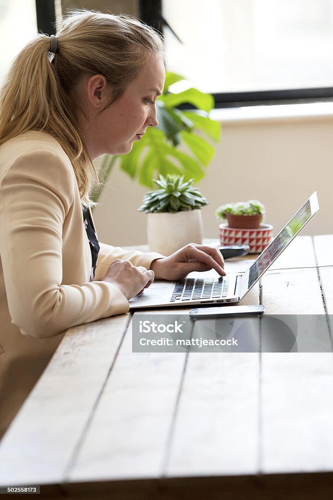 Business woman working from home Adult Stock Photo