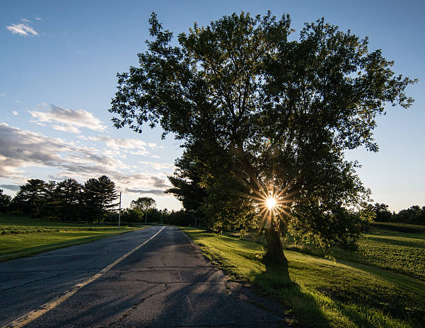 istock nice end of the day 502558259
