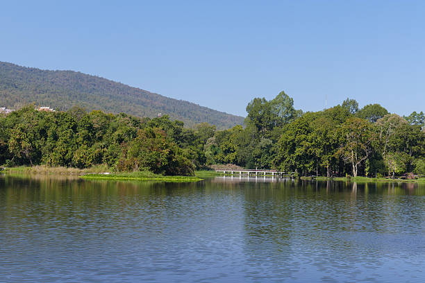 istock the mountain and pond in the park 502558536