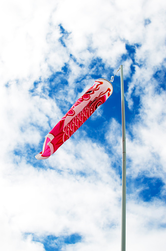 Japanese koi carp wind socks blow in the wind