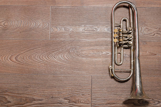 istock Old rusty trumpet lays on wooden floor 502560428