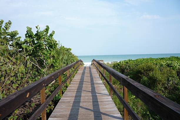 istock Walkway to the beach 502560993