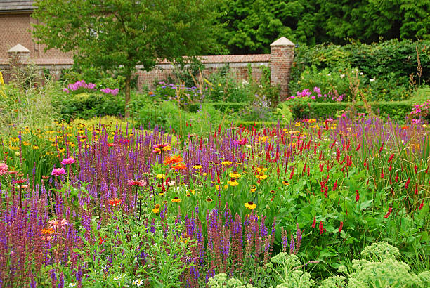 istock Ornamental garden with blooming flowers 502563455