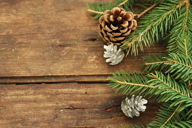 istock Christmas border design - fir tree and pine cone 502574414
