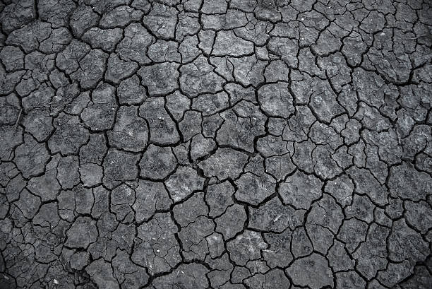 istock Pattern of Plant in dried cracked soil 502574776