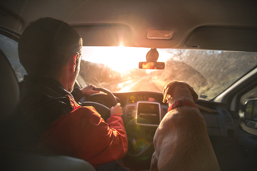 Man and dog traveling by car