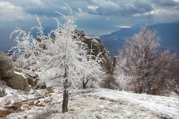 istock Winter day in the mountains 502579478