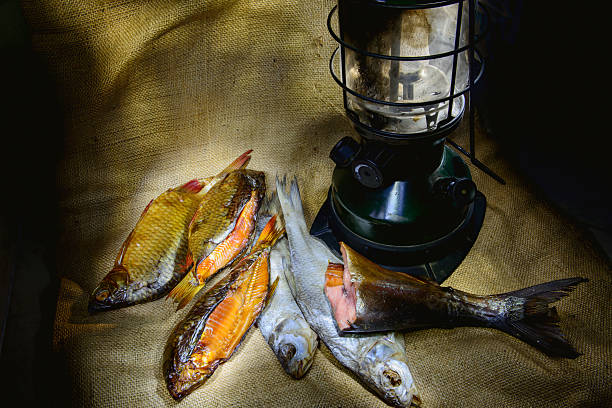 pesce essiccato - halibut flatfish fish hanging foto e immagini stock
