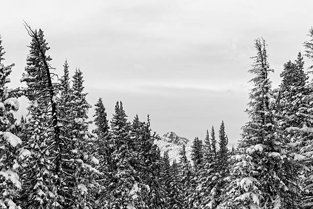 istock Serene Mountains with Fresh Snow Winter Landscape 502585376