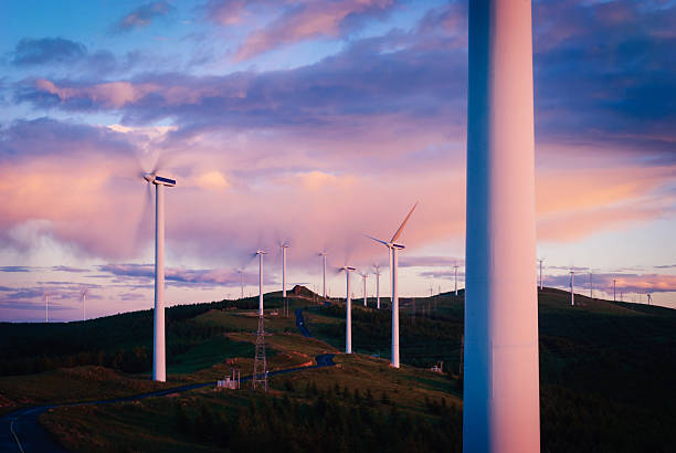 Wind turbines The windmill wind power under the setting sun. landscape alternative energy scenics farm stock pictures, royalty-free photos & images