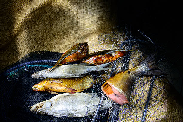 pesce essiccato - halibut flatfish fish hanging foto e immagini stock