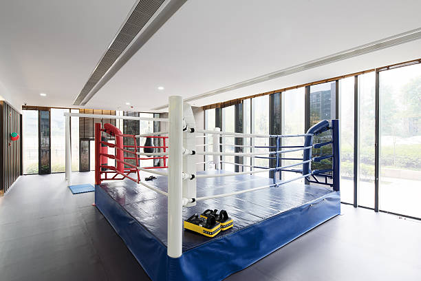 istock interior of modern gym 502587378