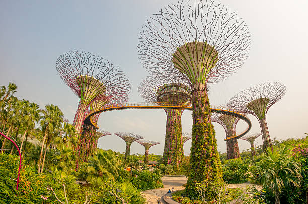 Singapore City, Singapore - November 8, 2015: : Gardens by the Bay in Singapore at day. Supertree Grove Stand in awe of the amazing Supertrees. These uniquely designed vertical gardens of 25 to 50-metres tall have large canopies that provide shade in the day and come alive with an exhilarating display of light and sound at night.