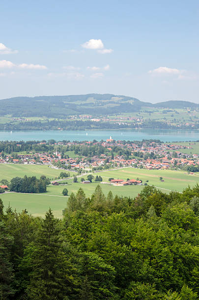 istock Aerial view of rural landscape 502589092