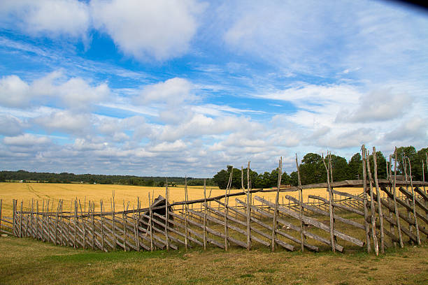 istock Whear field with the fence 502589524