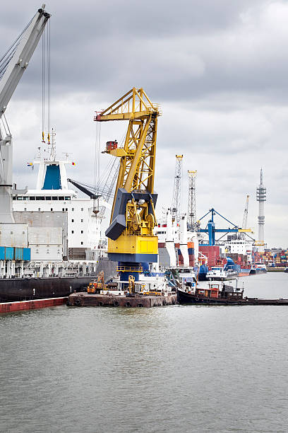 istock Container ship, cranes, port of Rotterdam 502600927