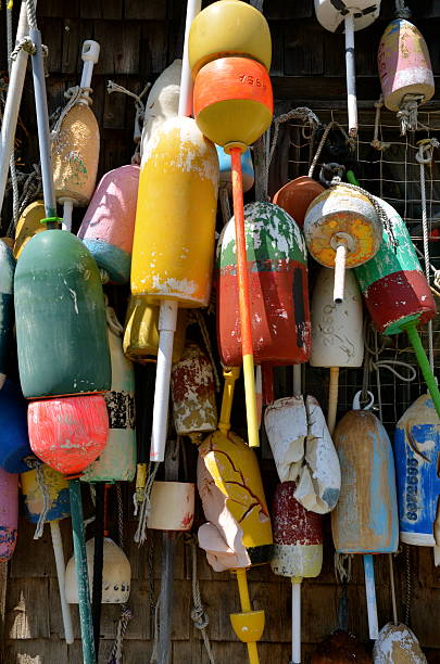 istock summer time in Maine 502603071