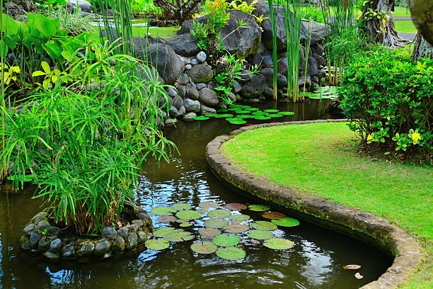 istock Beautiful pond and inverted image 502604223