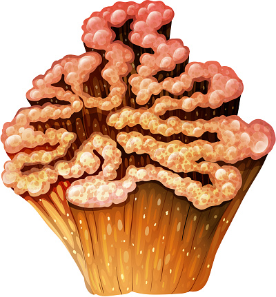 Illustration of a brown coral reef on a white background