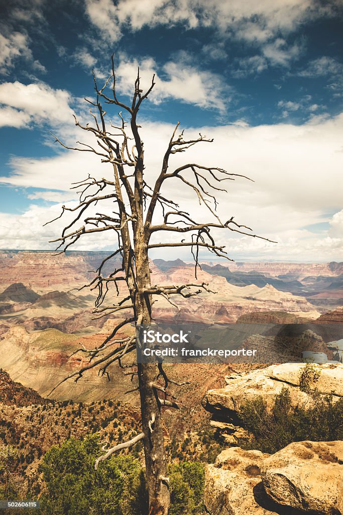 Parc national du Grand Canyon en arizona - Photo de Amérique du Nord libre de droits