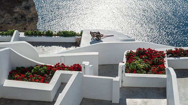 istock Flowers and the Sea 502606730