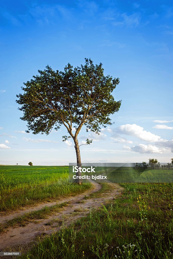 Paisaje Rural - Foto de stock de Carretera de un solo carril libre de derechos