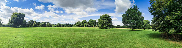 istock Summer meadow park on sunset 502607215