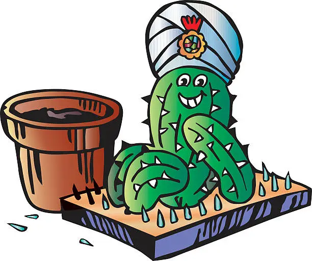 Vector illustration of Cactus as fakir