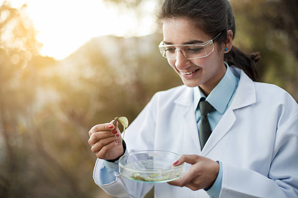 feliz joven botánico de la obtención de la muestra de leafs en la naturaleza. - ayurveda herb alternative medicine herbal medicine fotografías e imágenes de stock