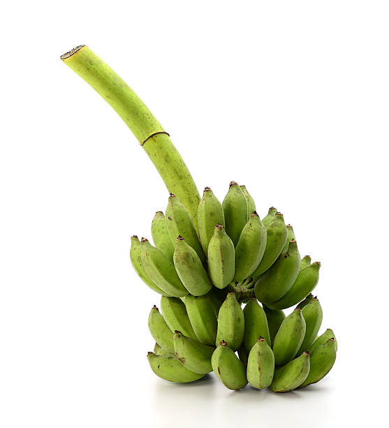 istock Bunch of bananas isolated on white background 502616282