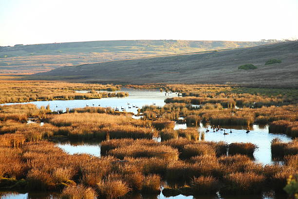 Bodmin Moor with the Cheesewrings